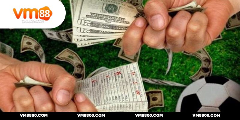 Gia tăng vốn khi cược vững