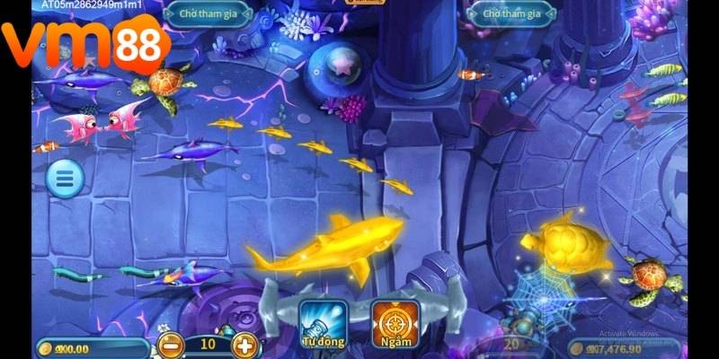 Cược thủ được trải nghiệm thế giới cược với hình ảnh chuyển động