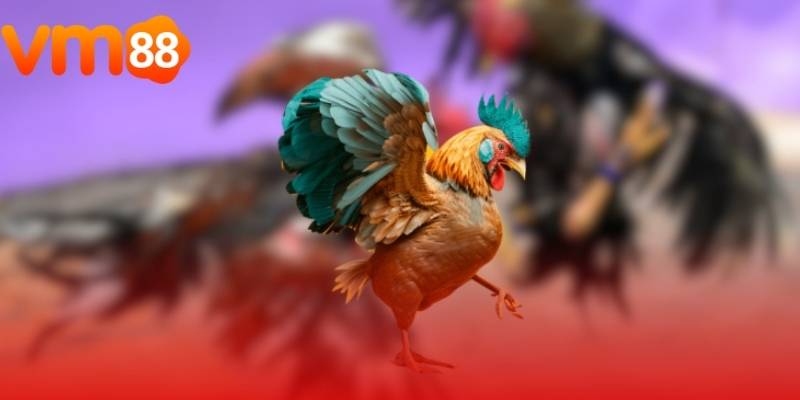 Người chơi khi tham gia được theo dõi các trận đấu trực tiếp